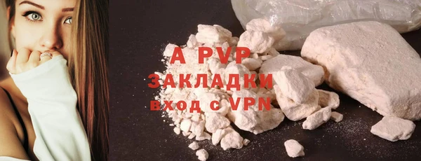 индика Костерёво