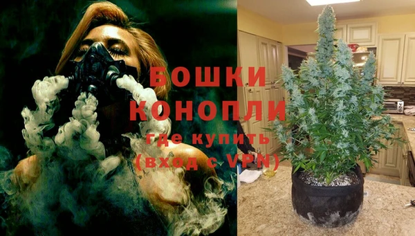 тгк Корсаков