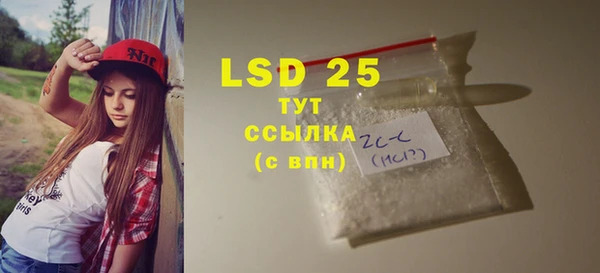 индика Костерёво