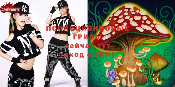тгк Корсаков