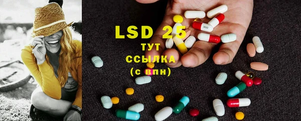 индика Костерёво