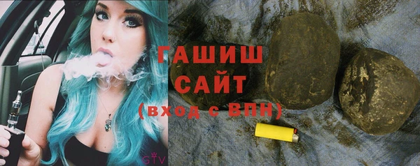 индика Костерёво