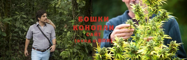 индика Костерёво
