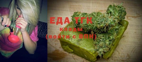 индика Костерёво