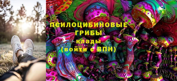 прущие крисы Кострома