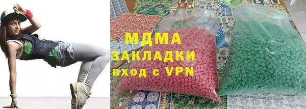 индика Костерёво