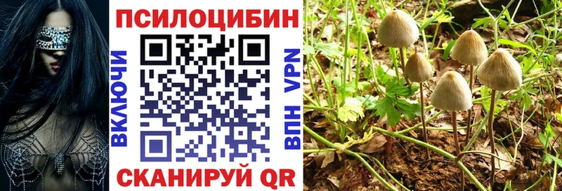 Галлюциногенные грибы Cubensis кракен ссылки Осташков где можно купить наркотик